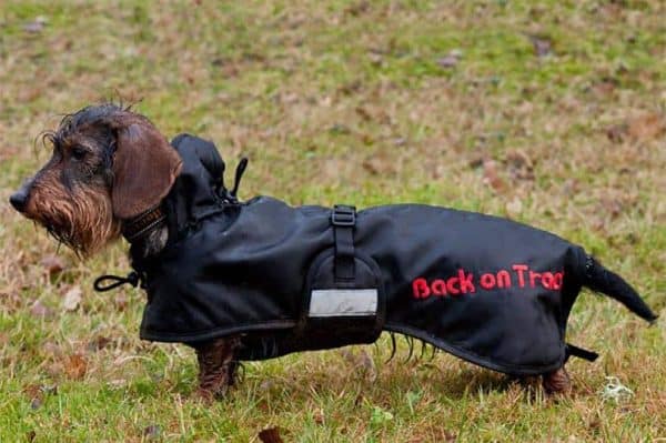 Gravhundedækken fra Back On Track