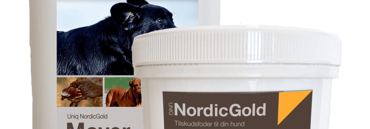 Glucosamin til hunde mod gigt